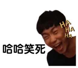 262223778