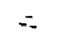 262313165