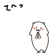 26234948