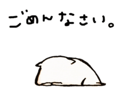 26234949