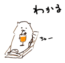 26234954