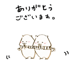 26234957