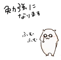 26234962