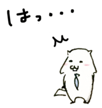 26234964
