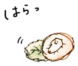 26234967
