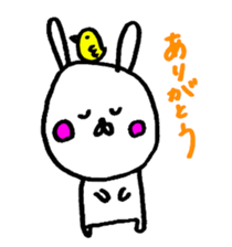 26237395