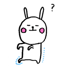 26237406