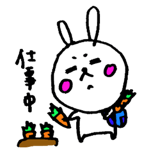 26237420