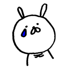 26237423