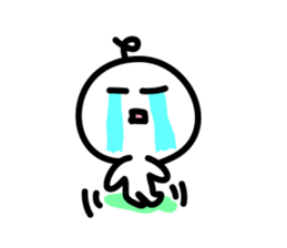 2623856