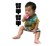 262388334