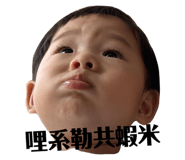 262388347