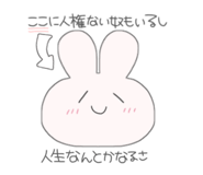 262592351