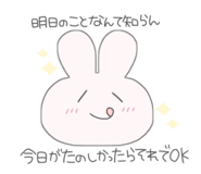 262592355