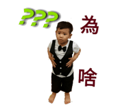 262604353