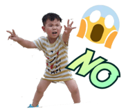 262604356