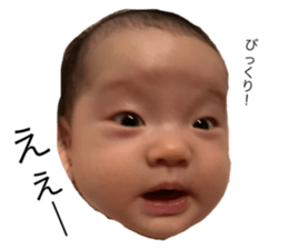 262615791