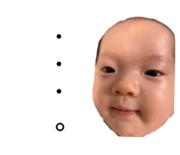 262615796