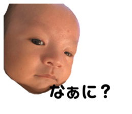 262622320