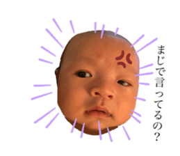 262622322