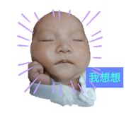 262629546