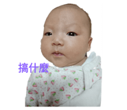 262629549