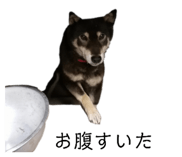 262636713