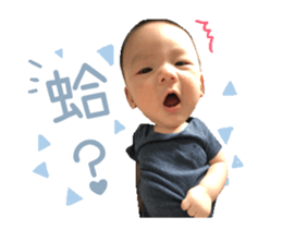 262653775