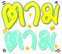 262655231