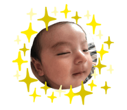 262658341