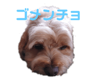 262746132