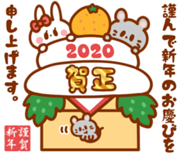 262867508