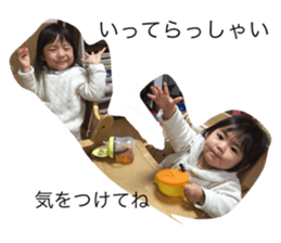 26290308