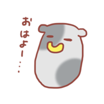 2629217