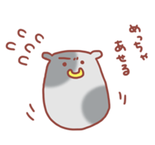 2629225