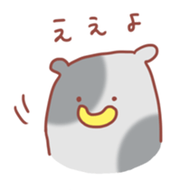 2629232