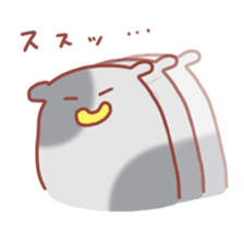 2629234