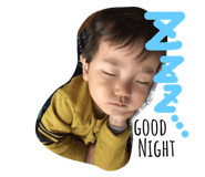 26295045