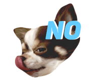26296794