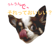 26296800