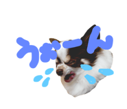 26296804