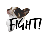 26296805