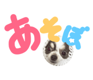 26296808