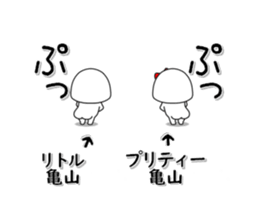 262978146