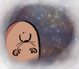 263039251