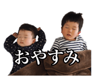 26306959