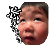 26306963