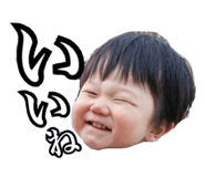 26306966