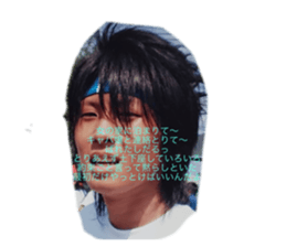263125588