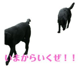 263135760